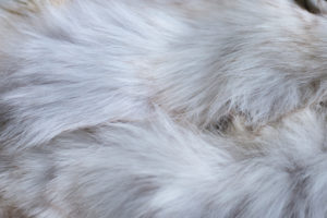 Fur Storage - Swannanoa Cleaners - Asheville, NC